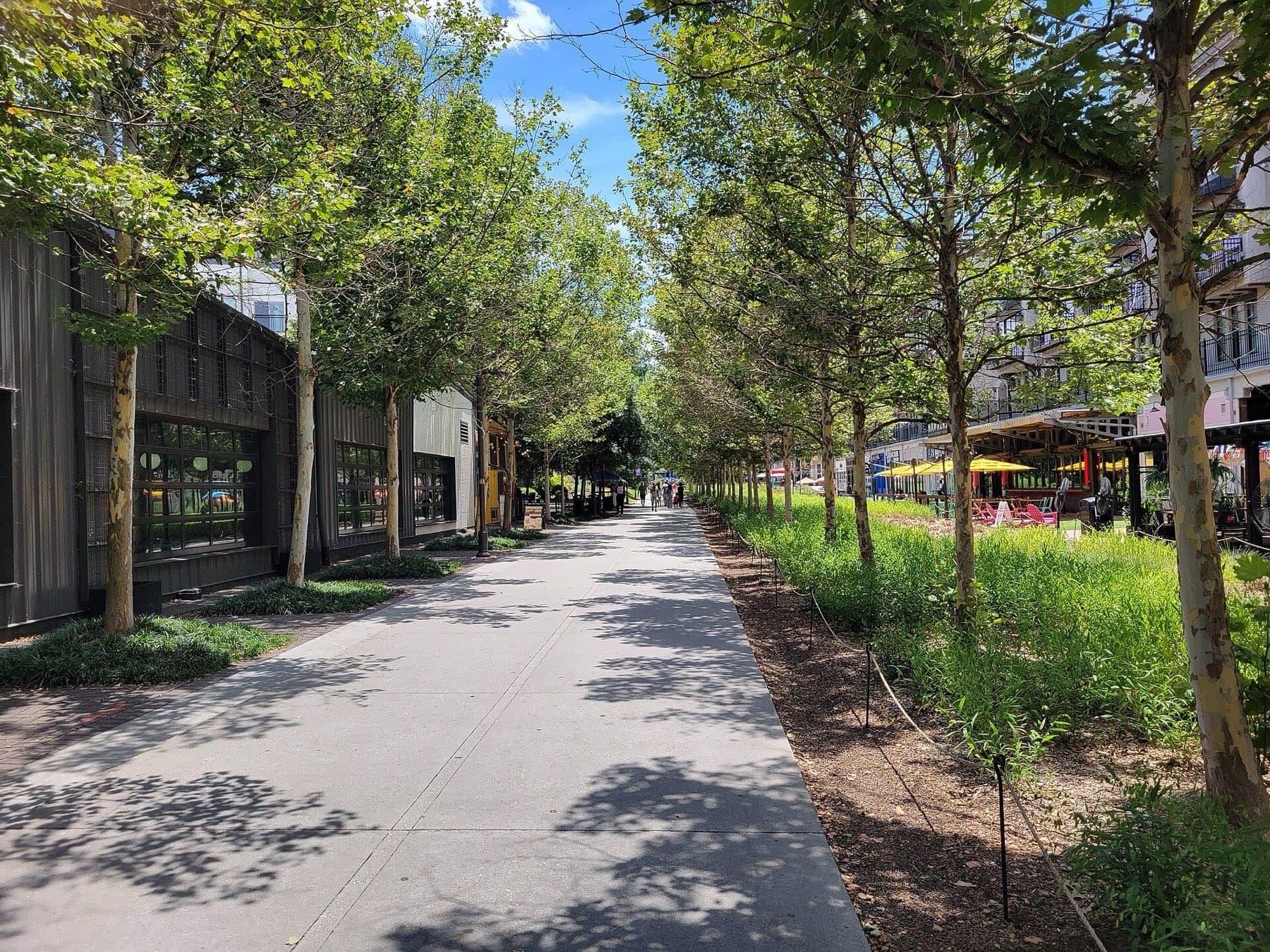 Tree-lined path on the Atlanta BeltLine Eastside Trail in Inman Park
